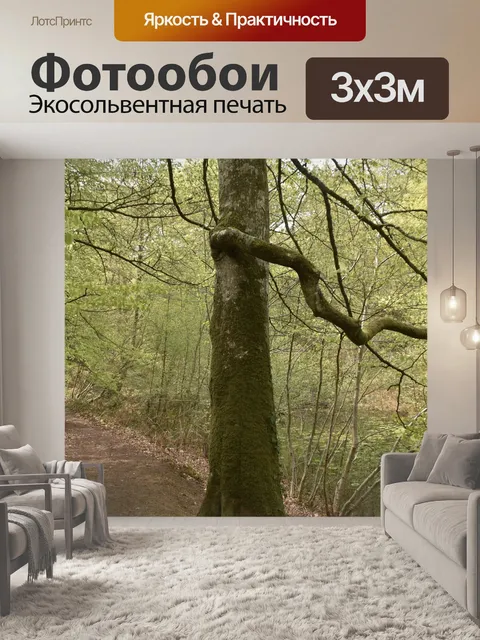 Фотообои Ветви