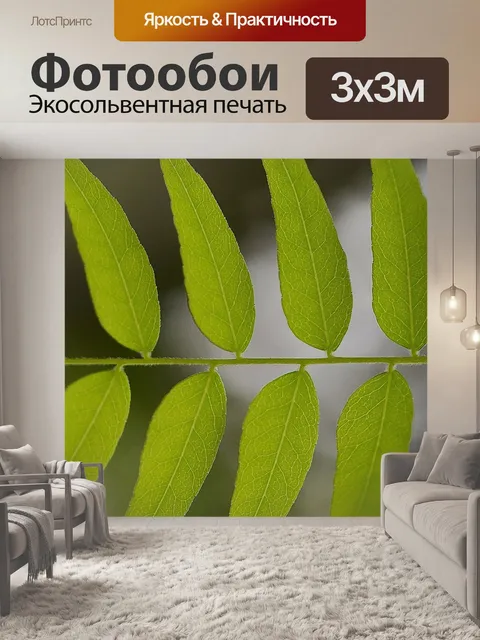 Фотообои Лист