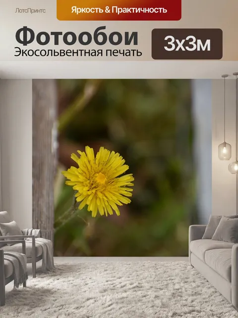 Фотообои Одуванчик