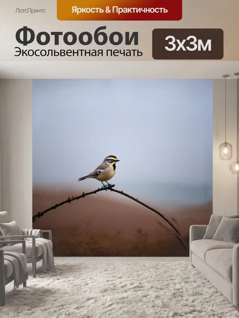 Фотообои пуночка в туманном утреннем воздухе