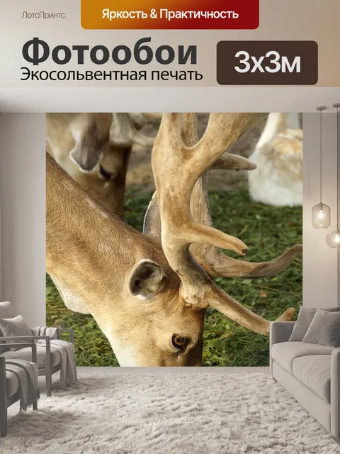 Фотообои Олень