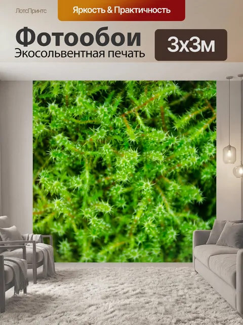 Фотообои Мох