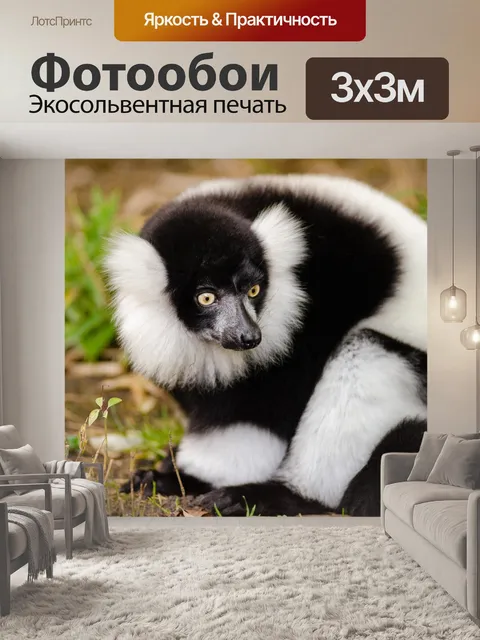 Фотообои Животное
