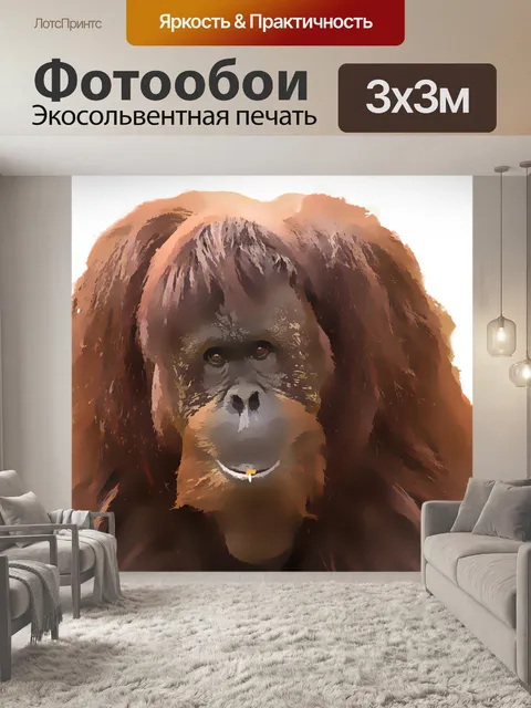 Фотообои Обезьяна