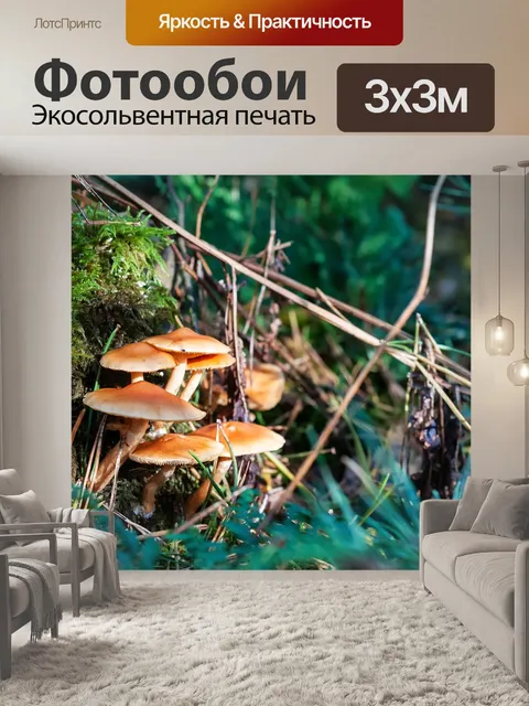 Фотообои Лес
