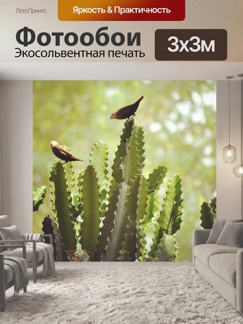 Фотообои Кактус