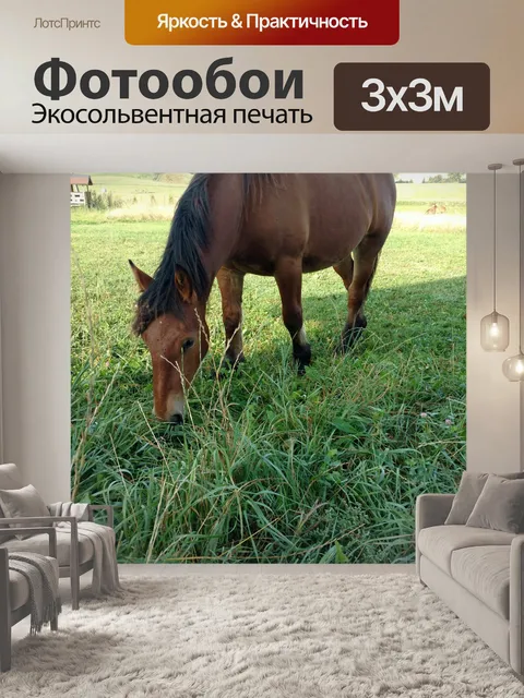 Фотообои Лошадь