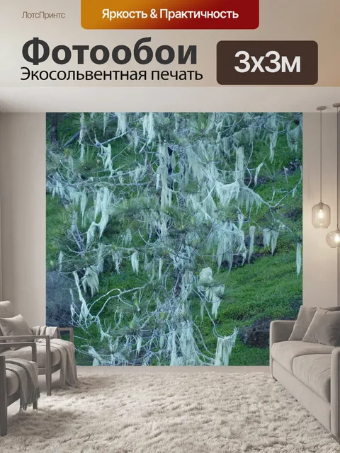 Фотообои Филиал