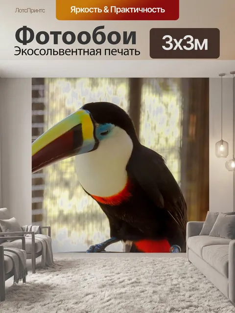 Фотообои Тукан