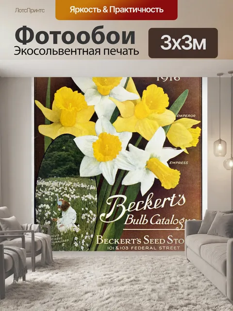 Фотообои Каталог марочных семян нарциссов