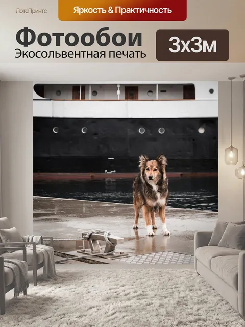 Фотообои Собака