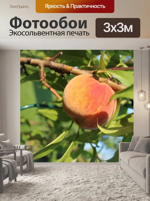 Фотообои Персик
