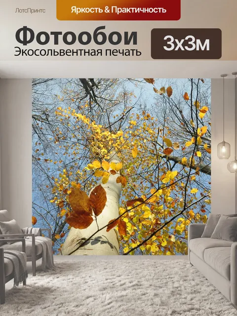 Фотообои Лес