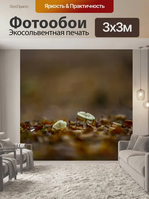 Фотообои грибы