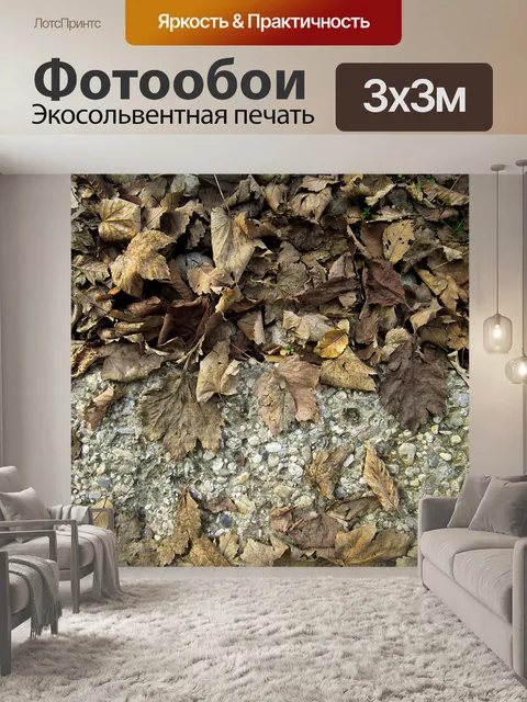 Фотообои Сухие листья