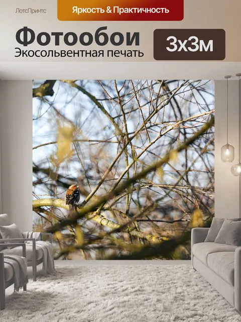Фотообои Птица