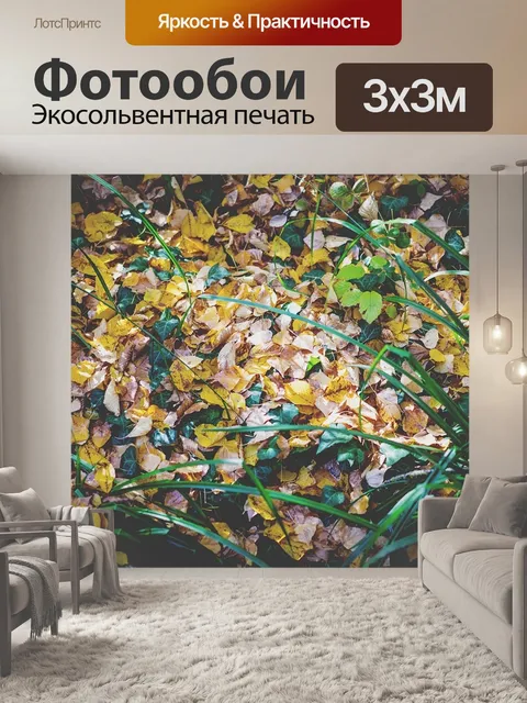 Фотообои Осенние листья