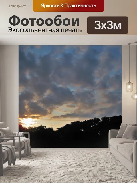 Фотообои рассвет над деревьями
