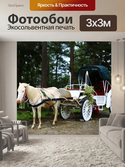 Фотообои Машина
