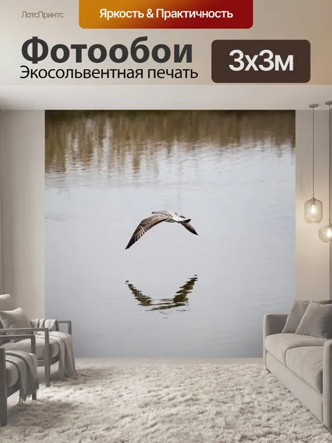 Фотообои Птица
