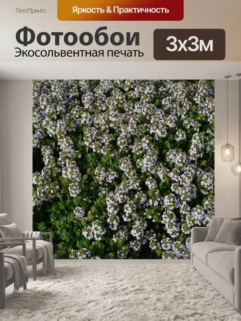 Фотообои Цветы