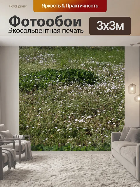 Фотообои Поле цветов