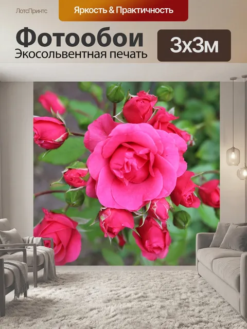 Фотообои Розы