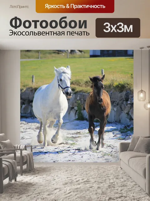 Фотообои Пони