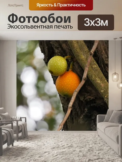 Фотообои Дерево