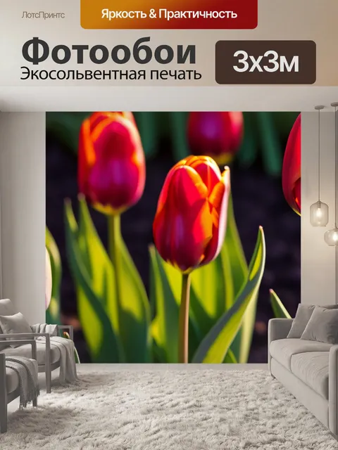 Фотообои чарующие тюльпаны в вечернем свете
