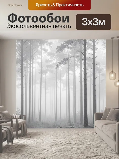 Фотообои Туманный сосновый лес