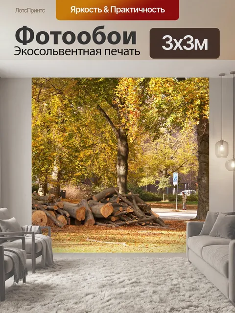 Фотообои Лес