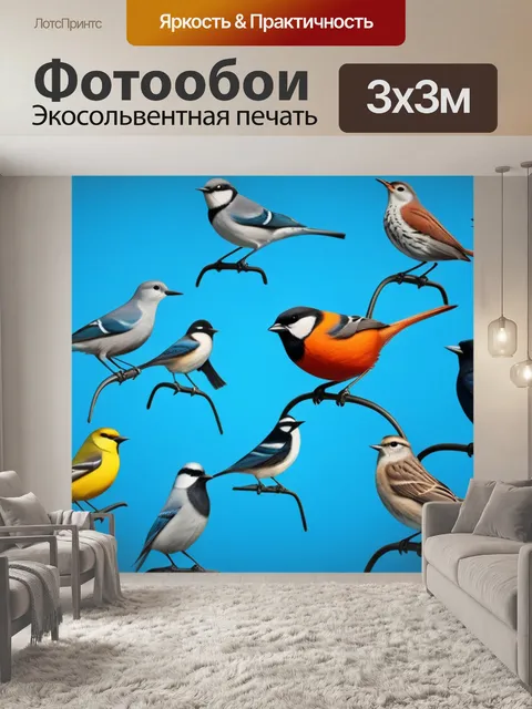 Фотообои с птичками смешной
