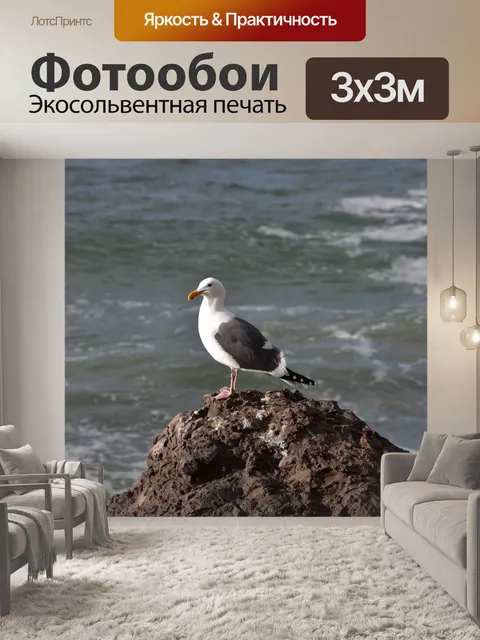 Фотообои Чайка на фоне океана рок