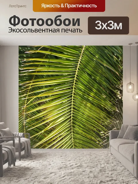 Фотообои Лист пальмы