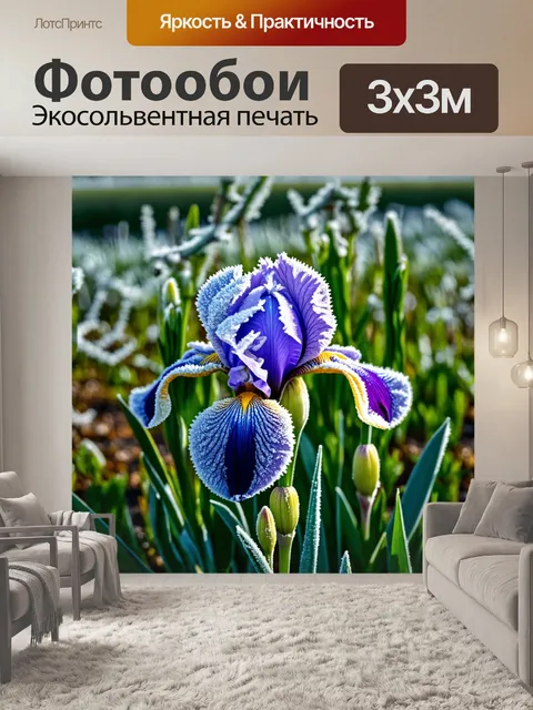 Фотообои ирис, несмотря на зимние морозы, с морозными узорами на лепестках, его стойкость и красота привносят тепло в…