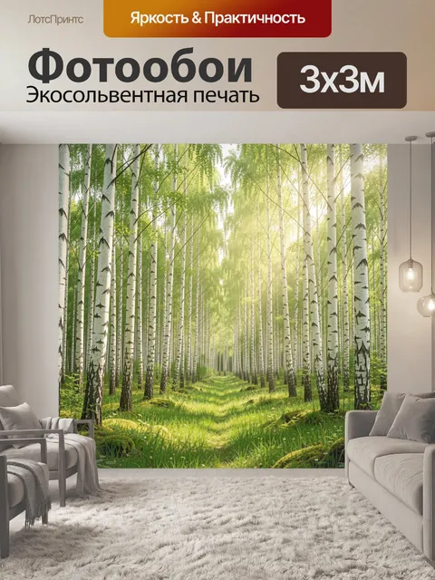 Фотообои Берёзовая роща в солнечном свете