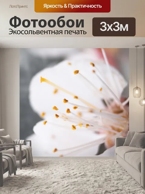 Фотообои Белые цветки
