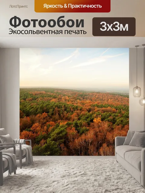 Фотообои Лес
