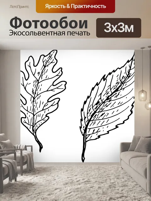 Фотообои Бук