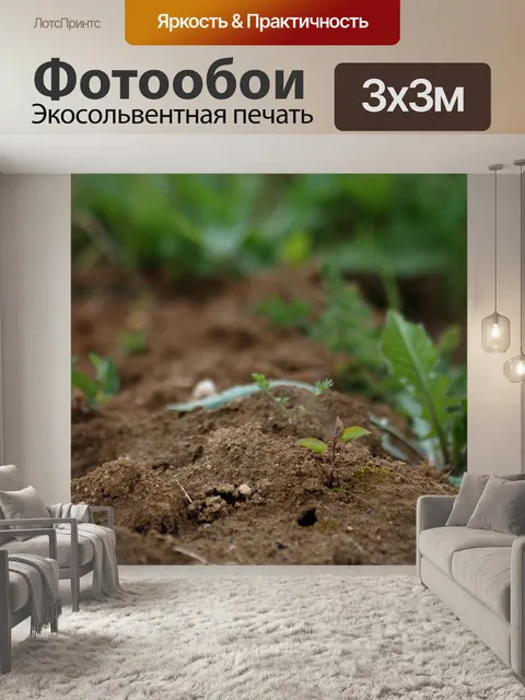 Фотообои Земля