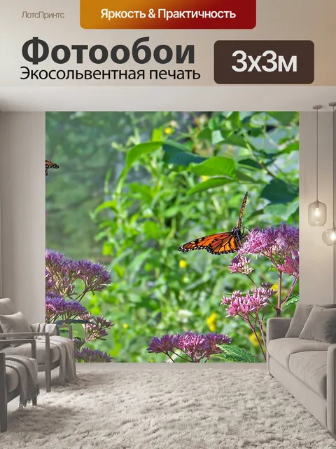 Фотообои Бабочки