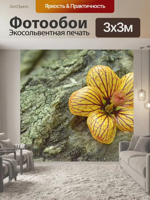 Фотообои Цветок