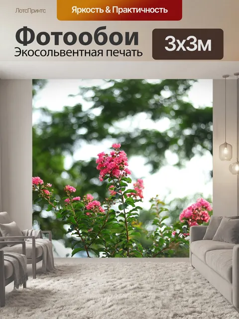 Фотообои Цветы