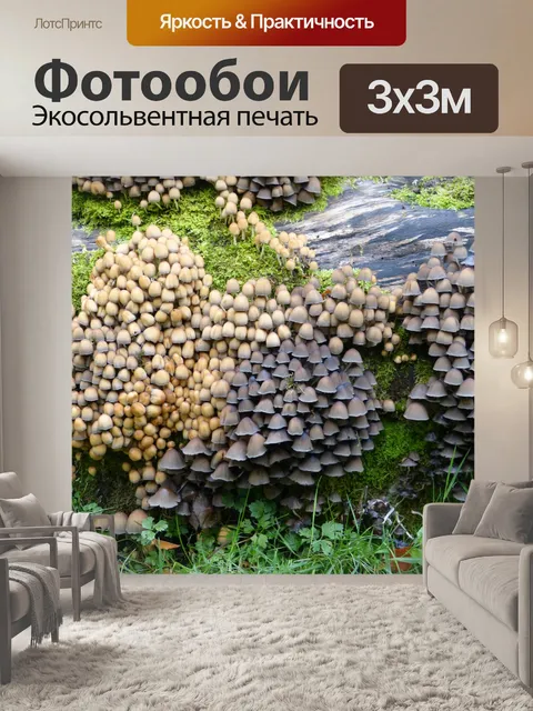 Фотообои Грибы