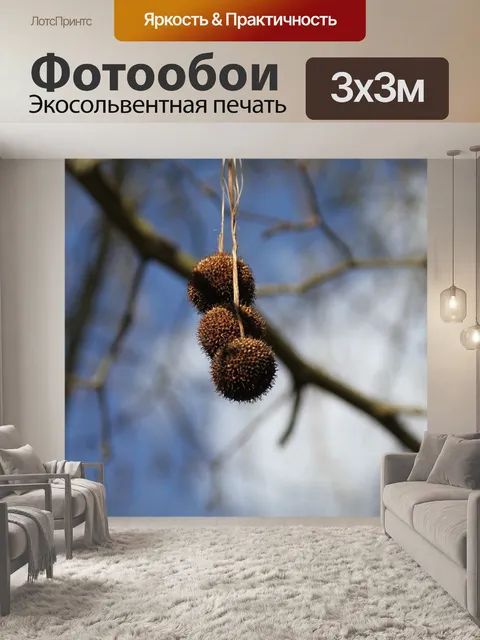 Фотообои Фрукты
