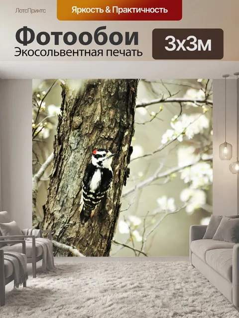 Фотообои Пуховый дятел в весеннем цвету
