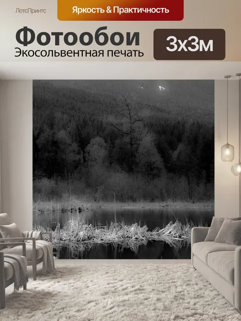 Фотообои Деревья