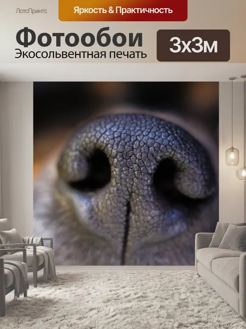Фотообои Собака