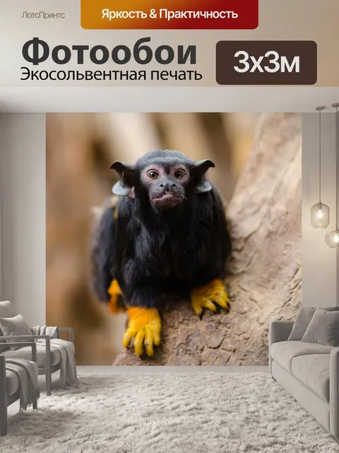 Фотообои Животное
